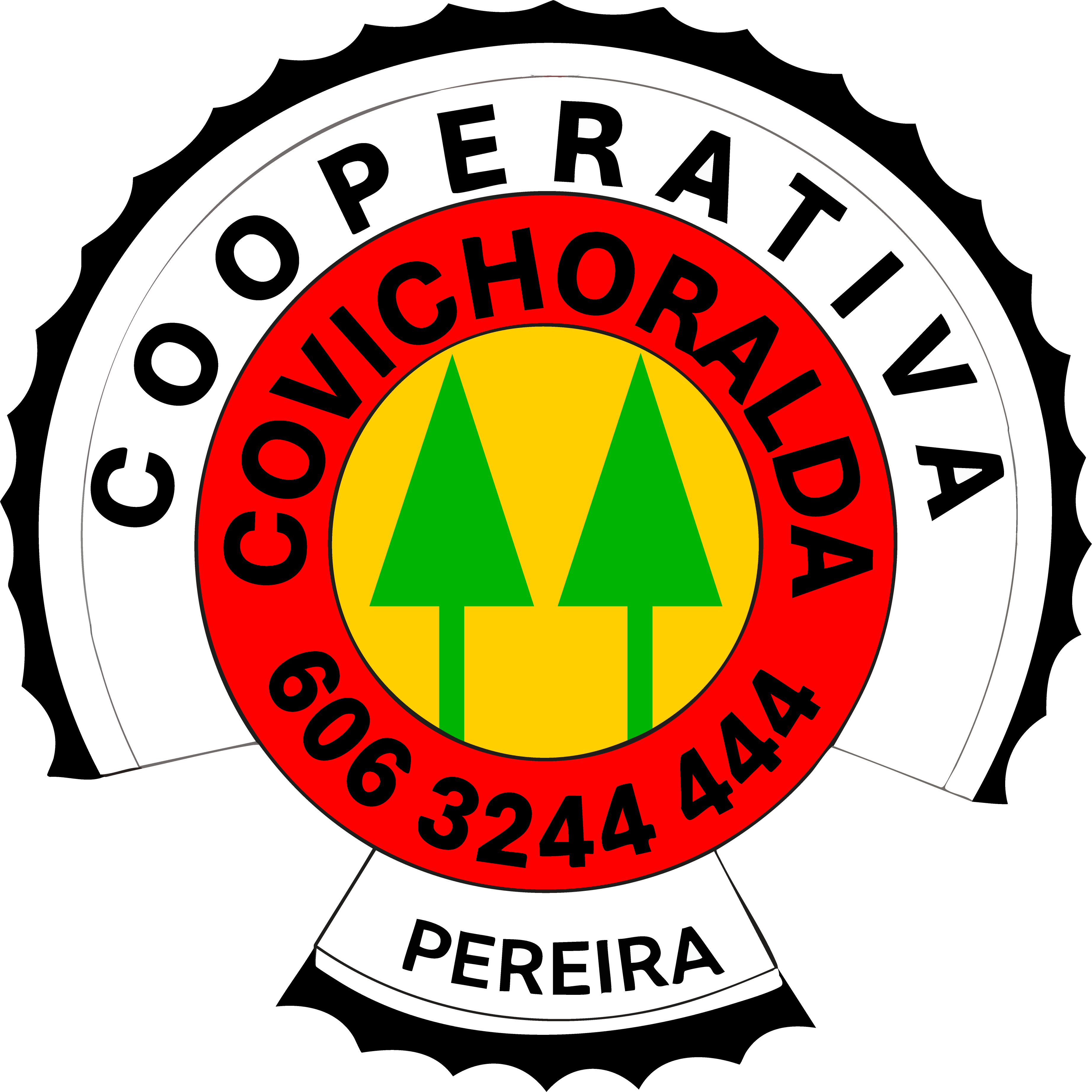 Contador Público titulado con tarjeta profesional vigente.
